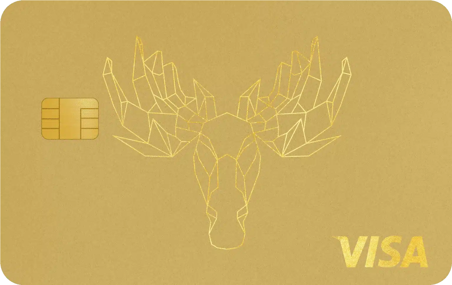 Bank Norwegian Visa